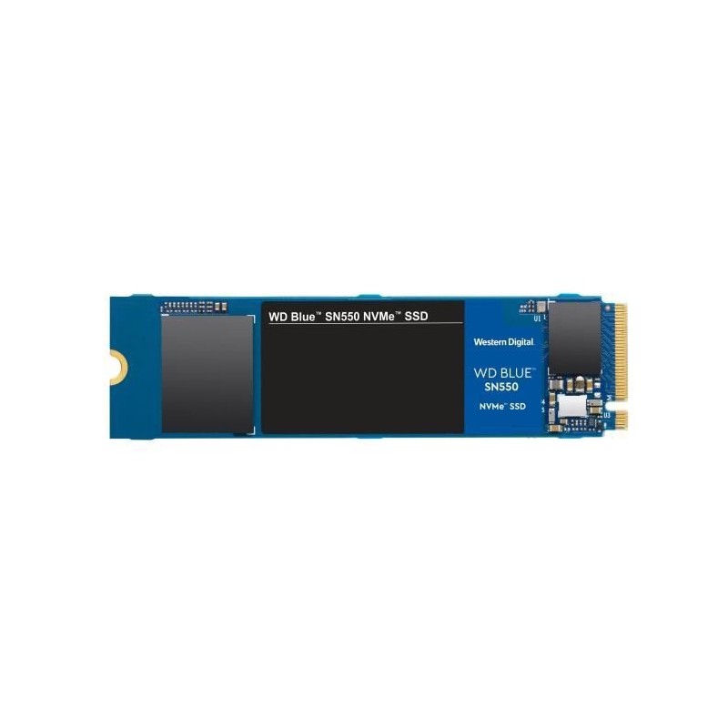 WESTERN DIGITAL 250Go SSD WD Blue™ SN550 - Format M.2 NVMe (WDS250G2B0C)