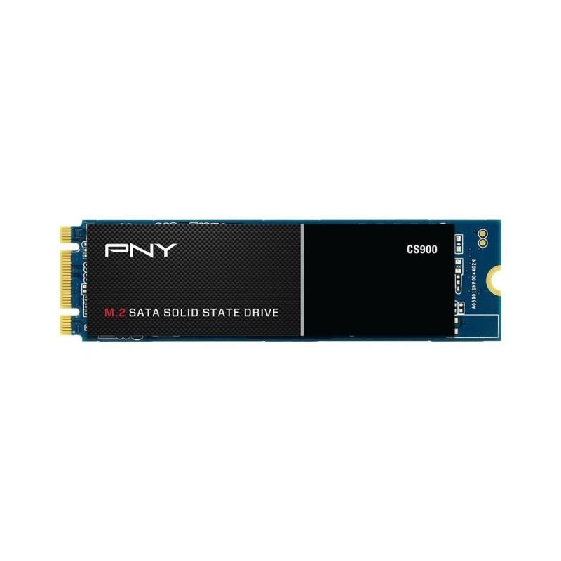 PNY 1To SSD CS900 - Format M.2 2280 (M280CS900-1TB-RB)
