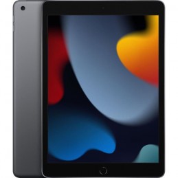 APPLE iPad (2021) Gris Sidéral Tablette tactile 10.2'' - 64Go - WiFi - iPadOs