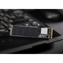 LEXAR NM610 500Go SSD SATA 6Gbs NVMe (LNM610500RB) - vue en situation