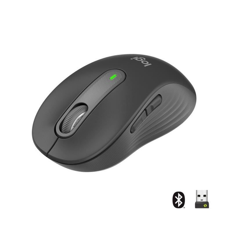 LOGITECH Signature M650 Graphite Souris Sans Fil Silencieuse (910-006253)