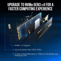PNY CS1030 250Go SSD M.2 GEN3 NVMe (M280CS1030-250-RB)