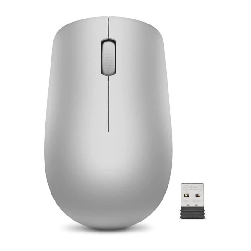 LENOVO Gris Platinium Souris sans-fil - nano USB - 1200 DPI - Ambidextre - vue de dessus