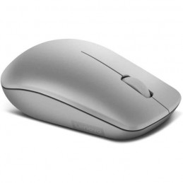 LENOVO Gris Platinium Souris sans-fil - nano USB - 1200 DPI - Ambidextre - vue de trois quart