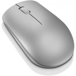 LENOVO Gris Platinium Souris sans-fil - nano USB - 1200 DPI - Ambidextre