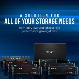 PNY CS1030 500Go SSD M.2 2280 (M280CS1030-500-RB) - vue solutions
