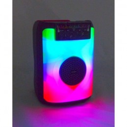 INOVALLEY FIRE01 RGB Enceinte Karaoké Bluetooth V5.0 - 40W - vue en situation