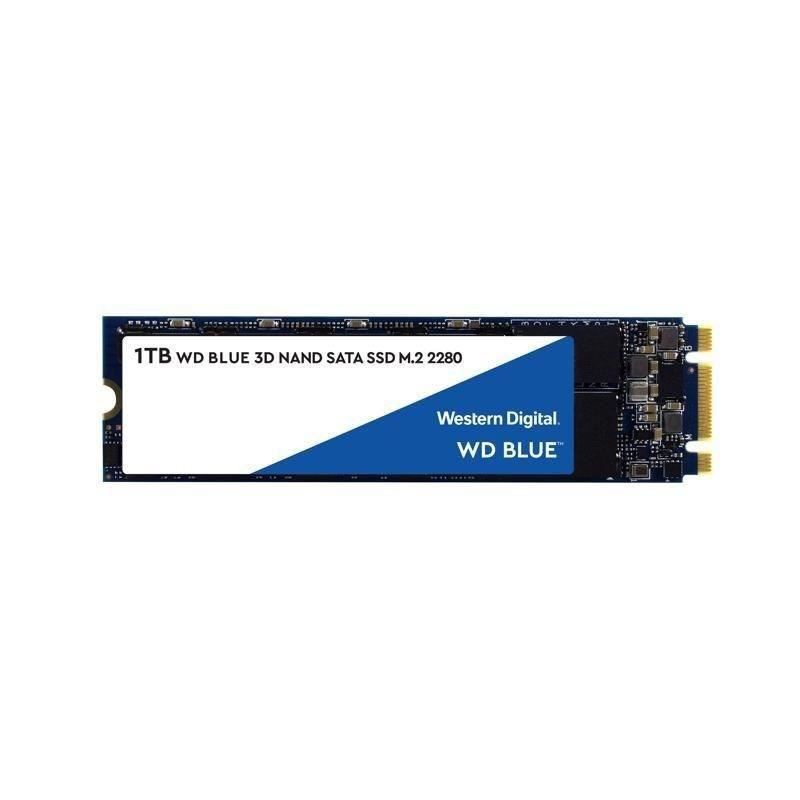 WESTERN DIGITAL 1To SSD WD Bleu SA510 M.2 2280 (WDS100T3B0B)