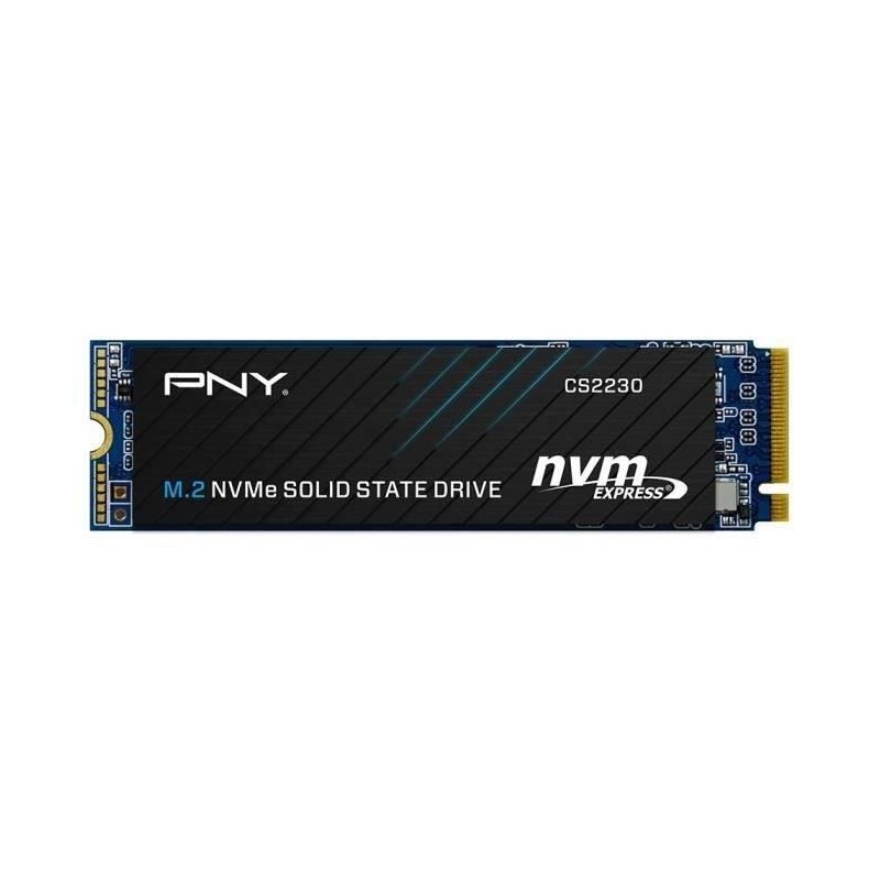 PNY CS2230 1To SSD M2 NVMe (M280CS2230-1TB-RB)