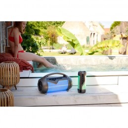 Enceinte bigben party bt aux in usb micro sd + 2 micros - taille