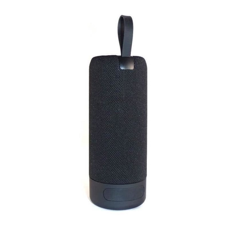 Enceinte portable étanche Bluetooth avec effets de lumière et microphone  sans fil - IPX4 - 80 W - FM/Micro SD/USB