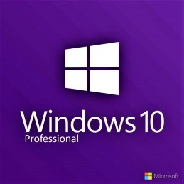 MICROSOFT Windows 10 Professionnel version Bulk - Installation Clé USB
