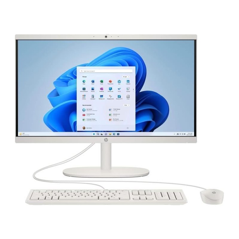 HP 22-dg0000nf PC Tout-en-un 22'' FHD - N100 - RAM 8Go - 256Go SSD - W11 - Clavier & souris filaires