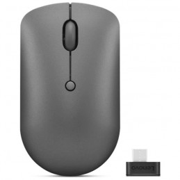 LENOVO 540 Gris GY51D20867 Souris optique sans fil compacte - Récepteur USB-C