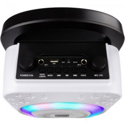 ROCKJAM PS150 Noir et Blanc Enceinte Karaoke portable 5W - Bluetooth, micro - vue commandes