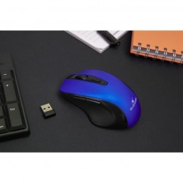 BLUESTORK OFFICE 75 Bleu Souris Sans Fil rechargeable - PC et MAC - vue dongle