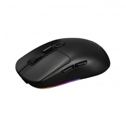 THE G-LAB KULT-TITAN Noir RGB Souris Gamer Compétitif - 12000DPI