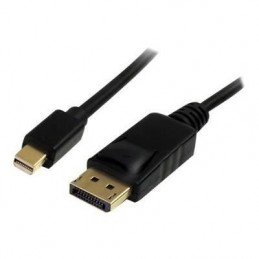 STARTECH Cable Mini DisplayPort vers DisplayPort 1.2 - Longueur 2 m - Cordon Mini DP vers DP 4K - M/M (MDP2DPMM2M)